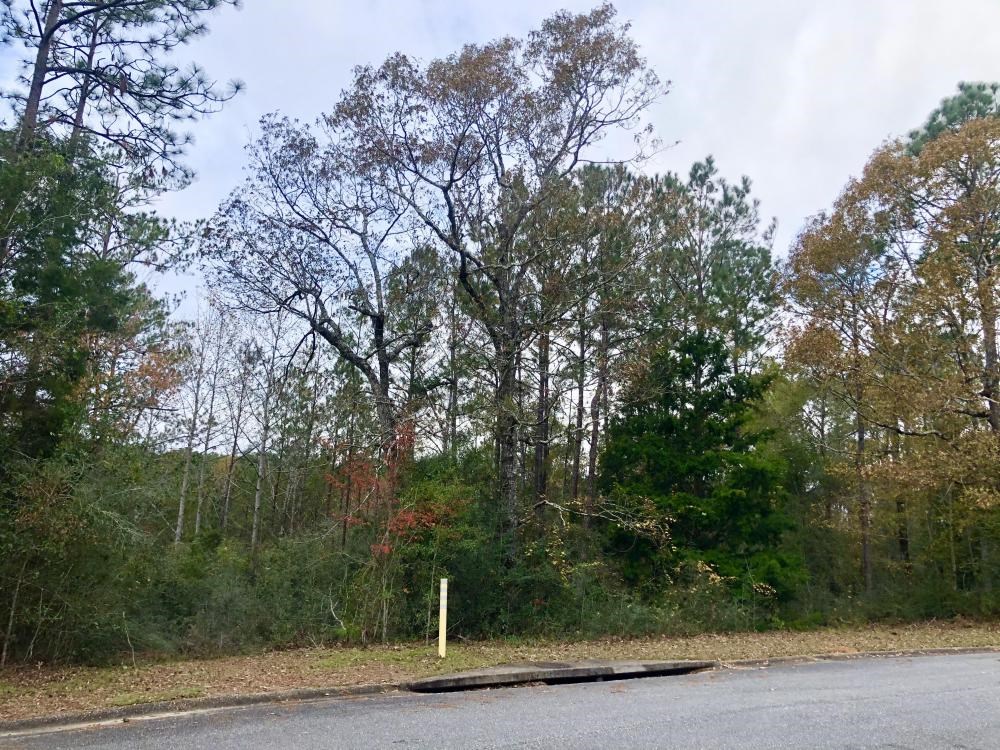 Tara Boulevard Daphne, AL 36527 - Photo 2 of 11