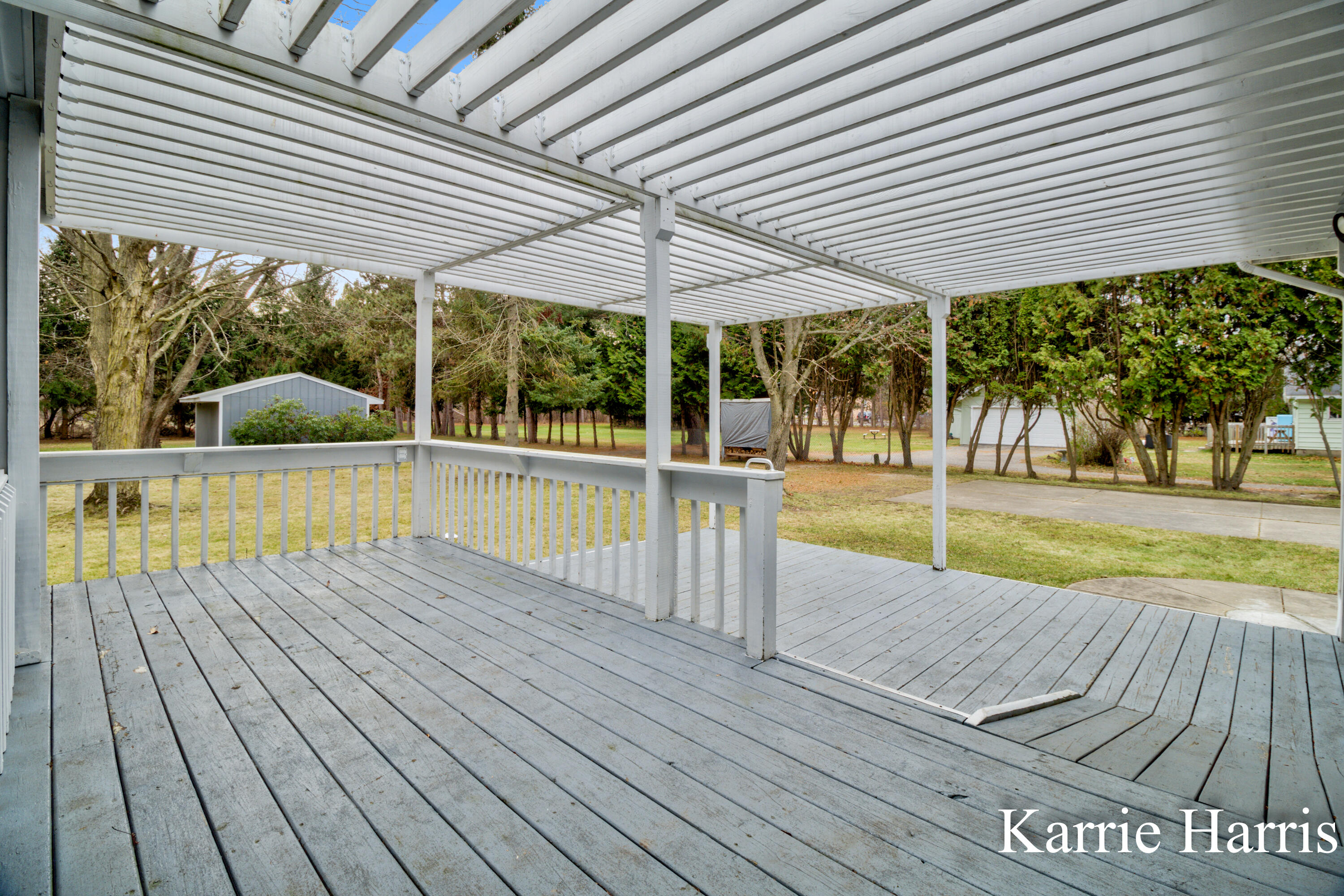 1305 West Ellis Street Belding, MI 48809 - Photo 14 of 34 Back deck