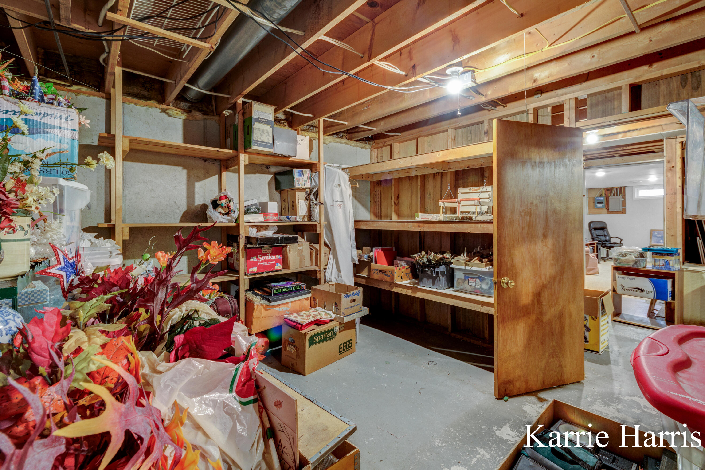1305 West Ellis Street Belding, MI 48809 - Photo 28 of 34 Storage room