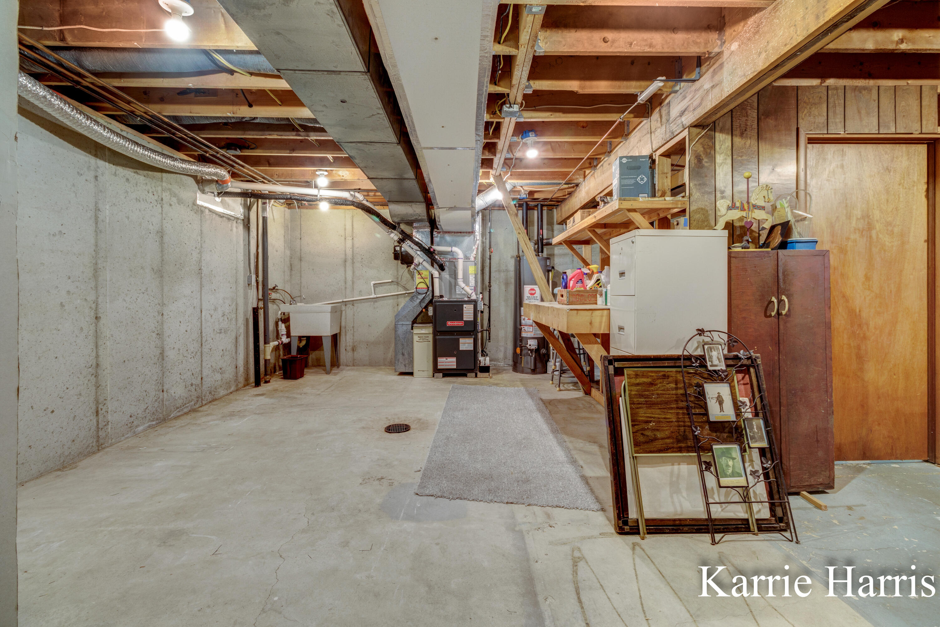 1305 West Ellis Street Belding, MI 48809 - Photo 29 of 34 Utility/storage