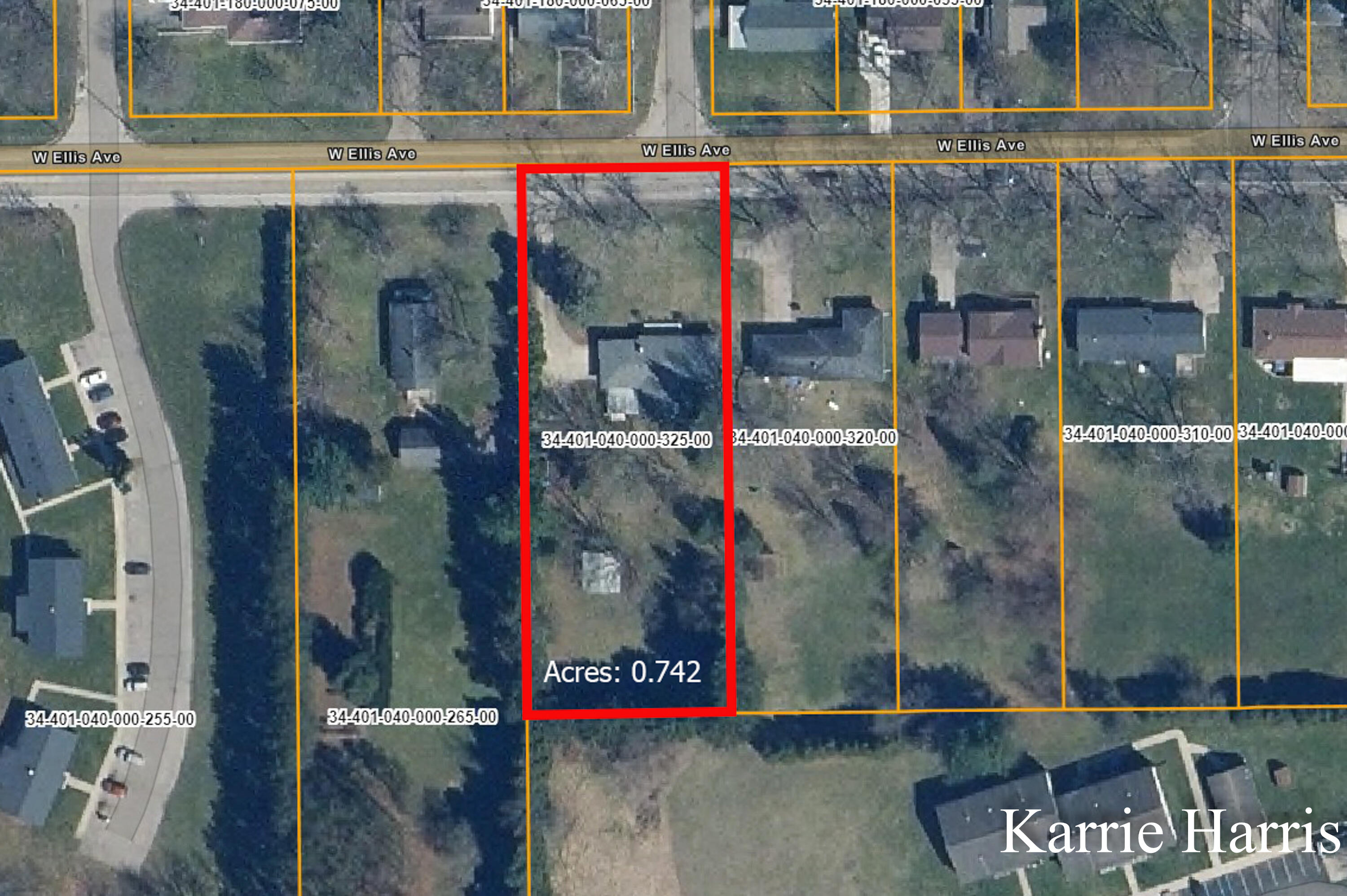 1305 West Ellis Street Belding, MI 48809 - Photo 33 of 34 Lot lines