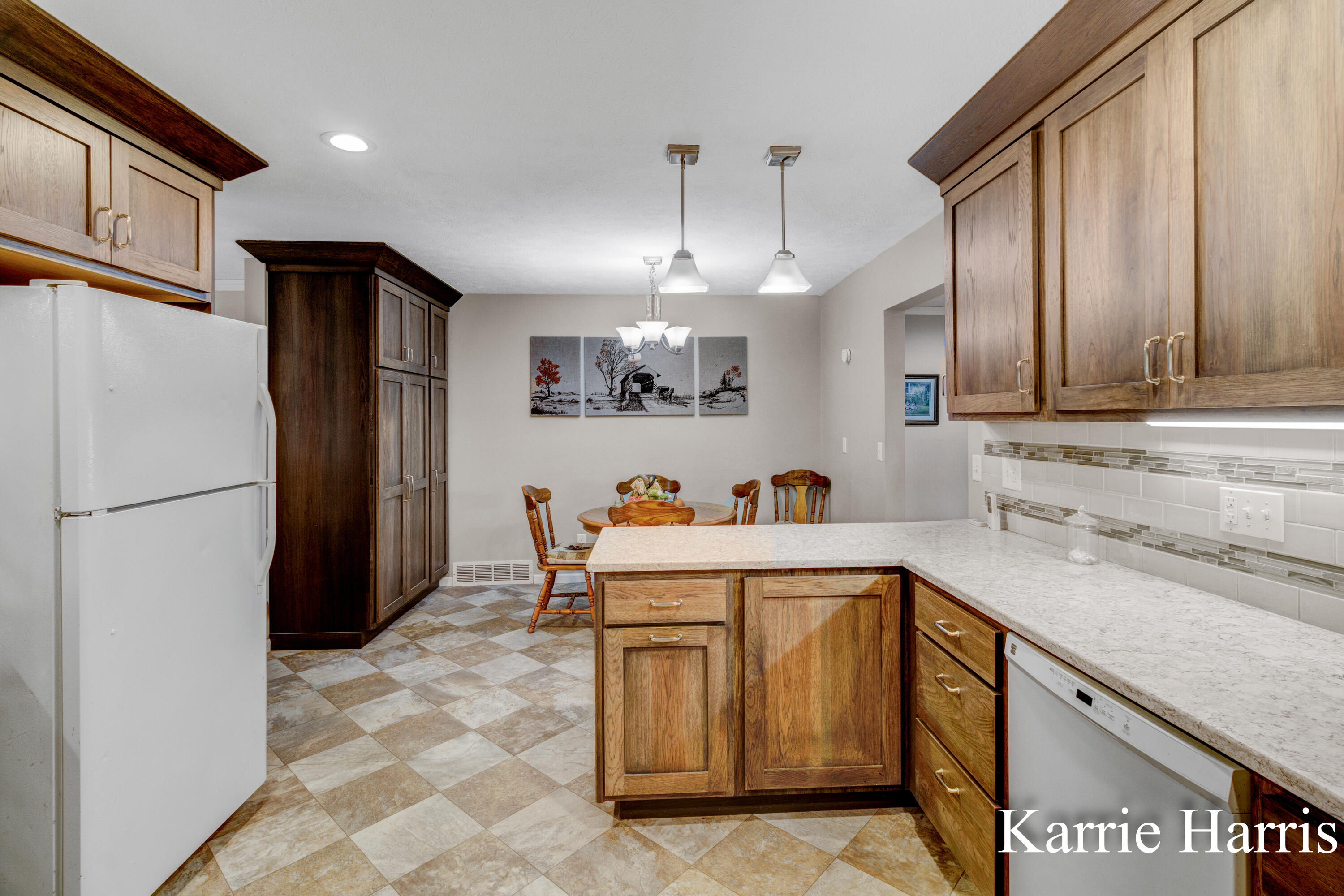 1305 West Ellis Street Belding, MI 48809 - Photo 6 of 34 Kitchen