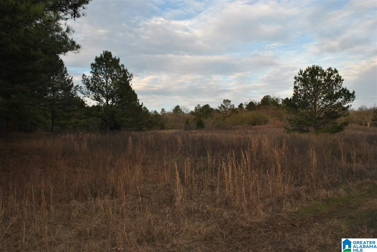 280 Bell Road Nauvoo, AL 35578 - Photo 22 of 23
