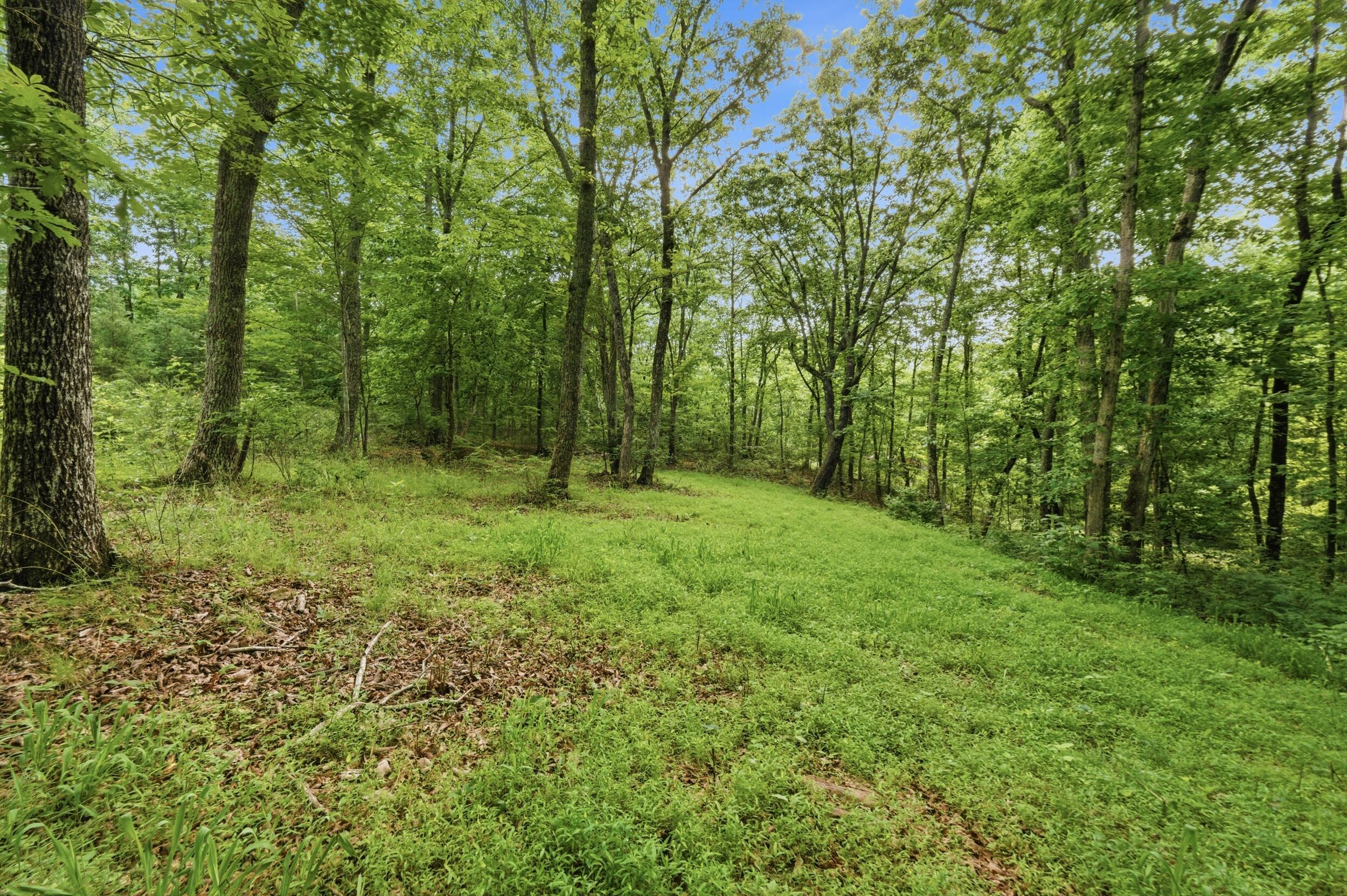 739 South Moore Road Rising Fawn, GA 30738 - Photo 20 of 26 dh100696