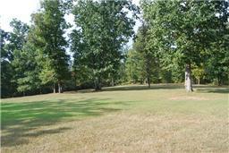 308 Deerwood Road Hohenwald, TN 38462 - Photo 4 of 15 Gallery Image 4