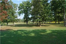 308 Deerwood Road Hohenwald, TN 38462 - Photo 6 of 15 Gallery Image 6
