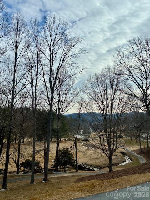 3100 Cove Loop Road Hendersonville, NC 28739 - Photo 11 of 40