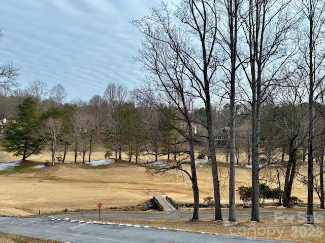 3100 Cove Loop Road Hendersonville, NC 28739 - Photo 7 of 40