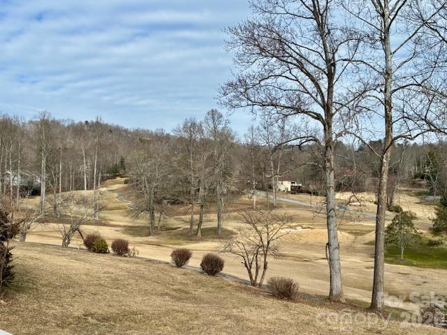 3100 Cove Loop Road Hendersonville, NC 28739 - Photo 8 of 40