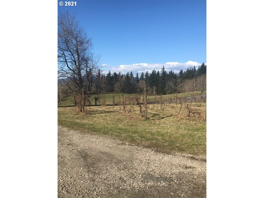 37645 Grange Hall Road Corbett, OR 97019 - Photo 29 of 31