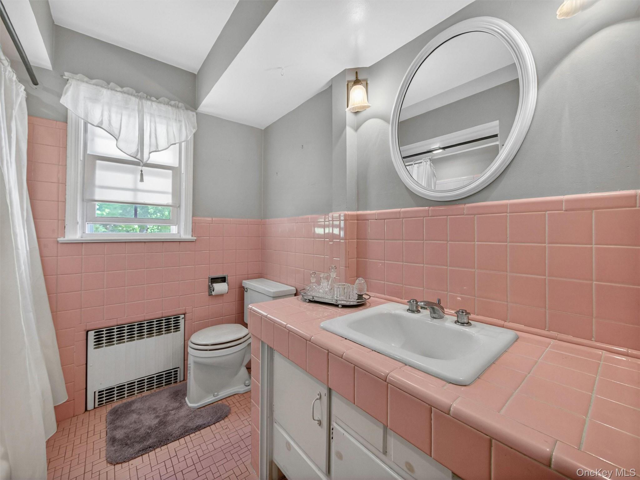 56 Oak Road New City, NY 10956 - Photo 18 of 30 a bathroom with a sink a mirror and a toilet