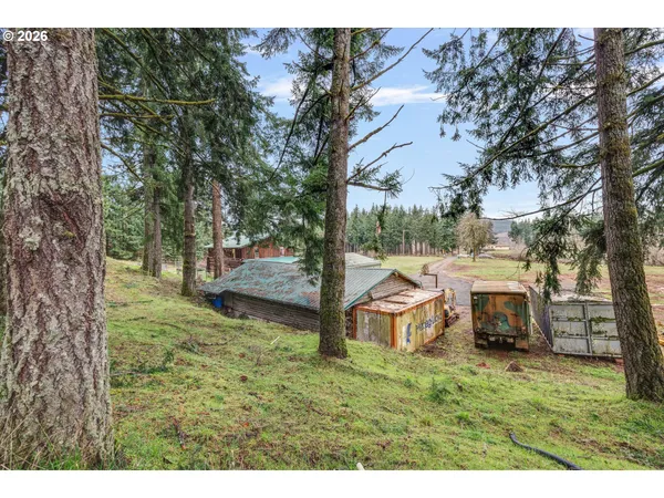 a view of a park with large trees and a wooden fence