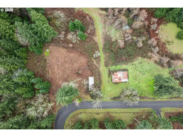 a view of a dry yard with trees