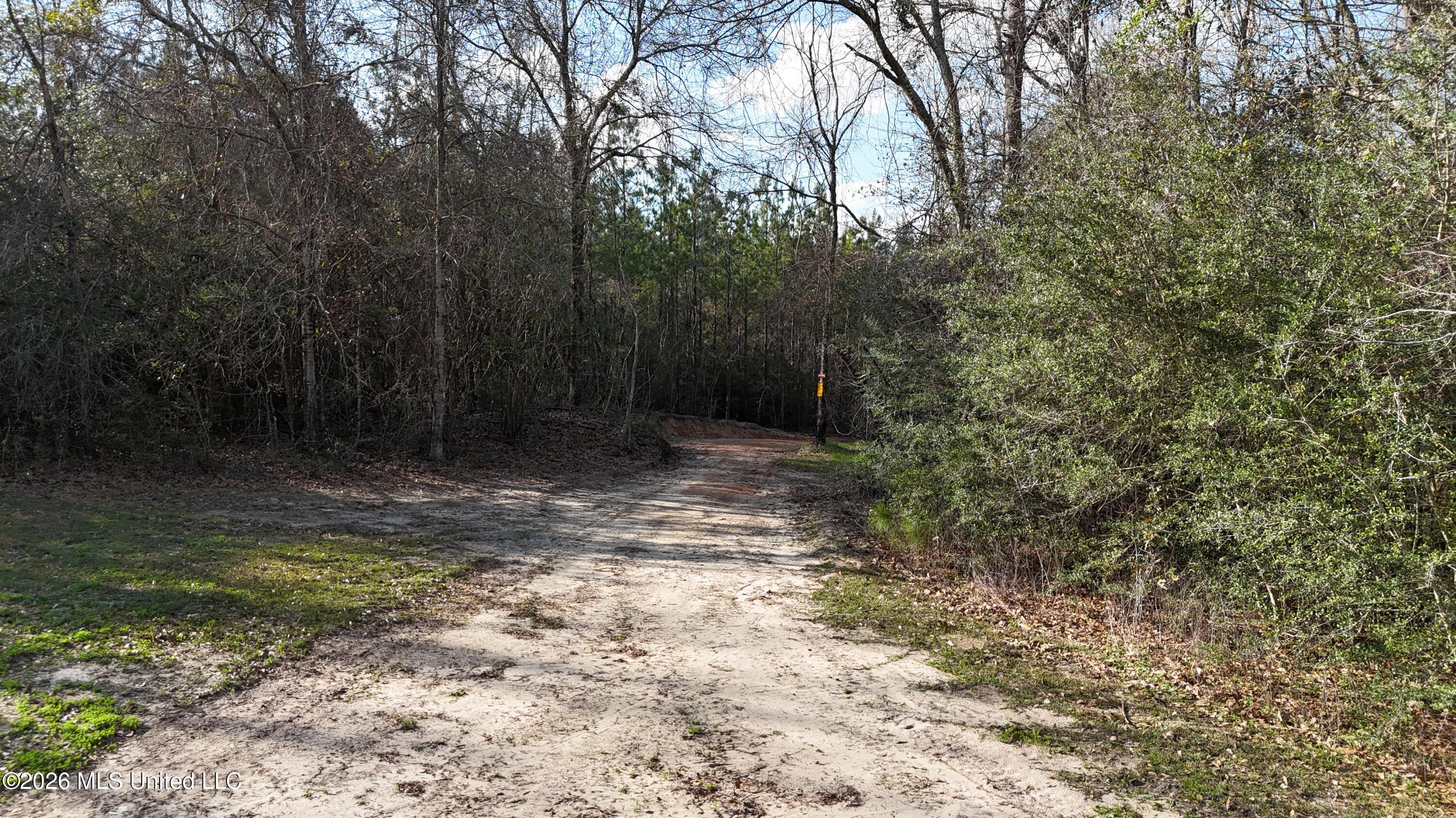 1771 Ridge Road Perkinston, MS 39573 - Photo 26 of 36 Trails 1