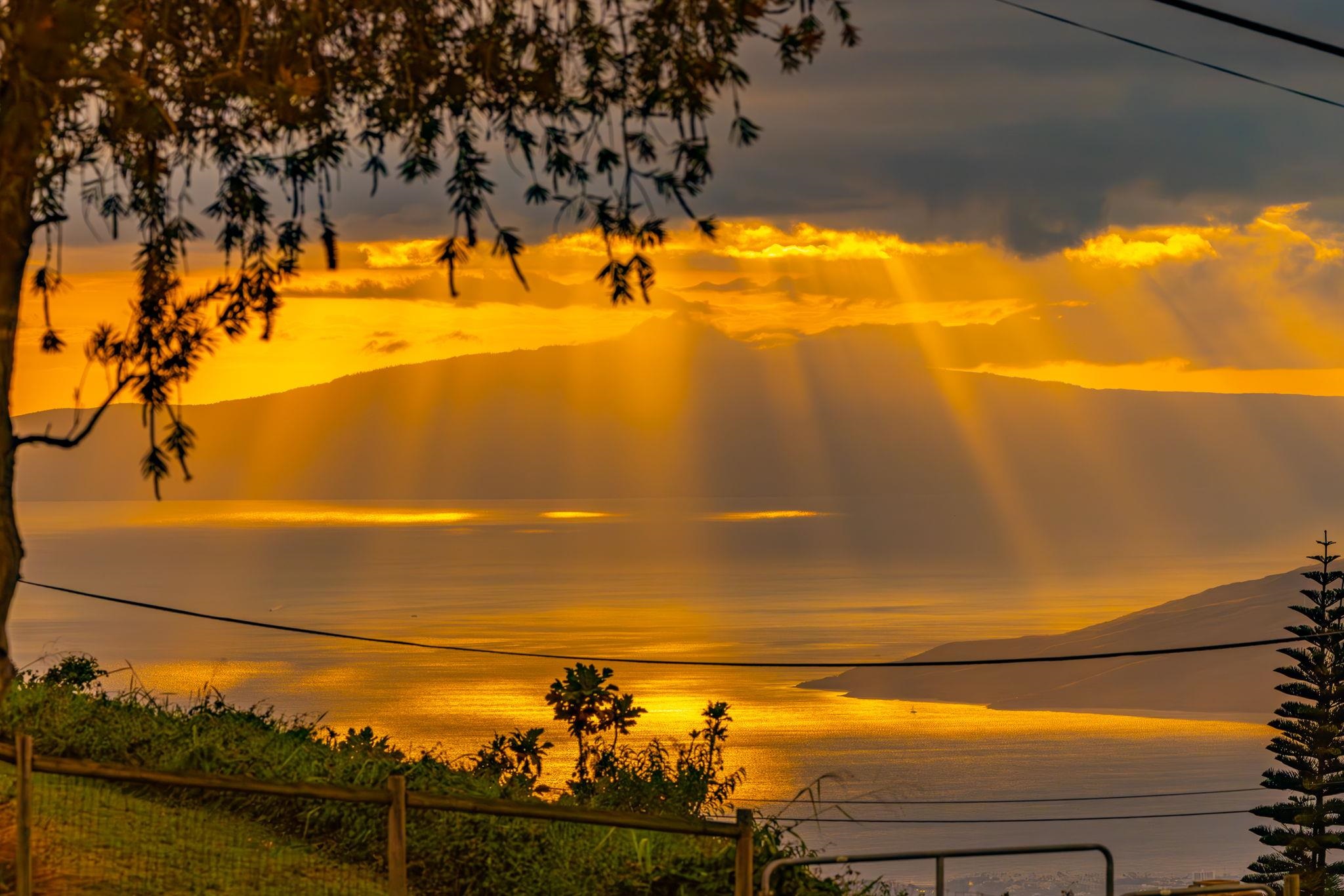 115 Alae Road Kula, HI 96790 - Photo 2 of 50 a view of an ocean