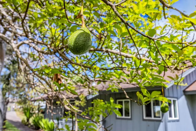 $1,829,000 | 115 Alae Road, Kula, HI 96790