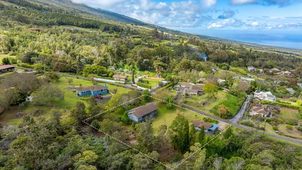 an aerial view of residential houses with outdoor space and trees