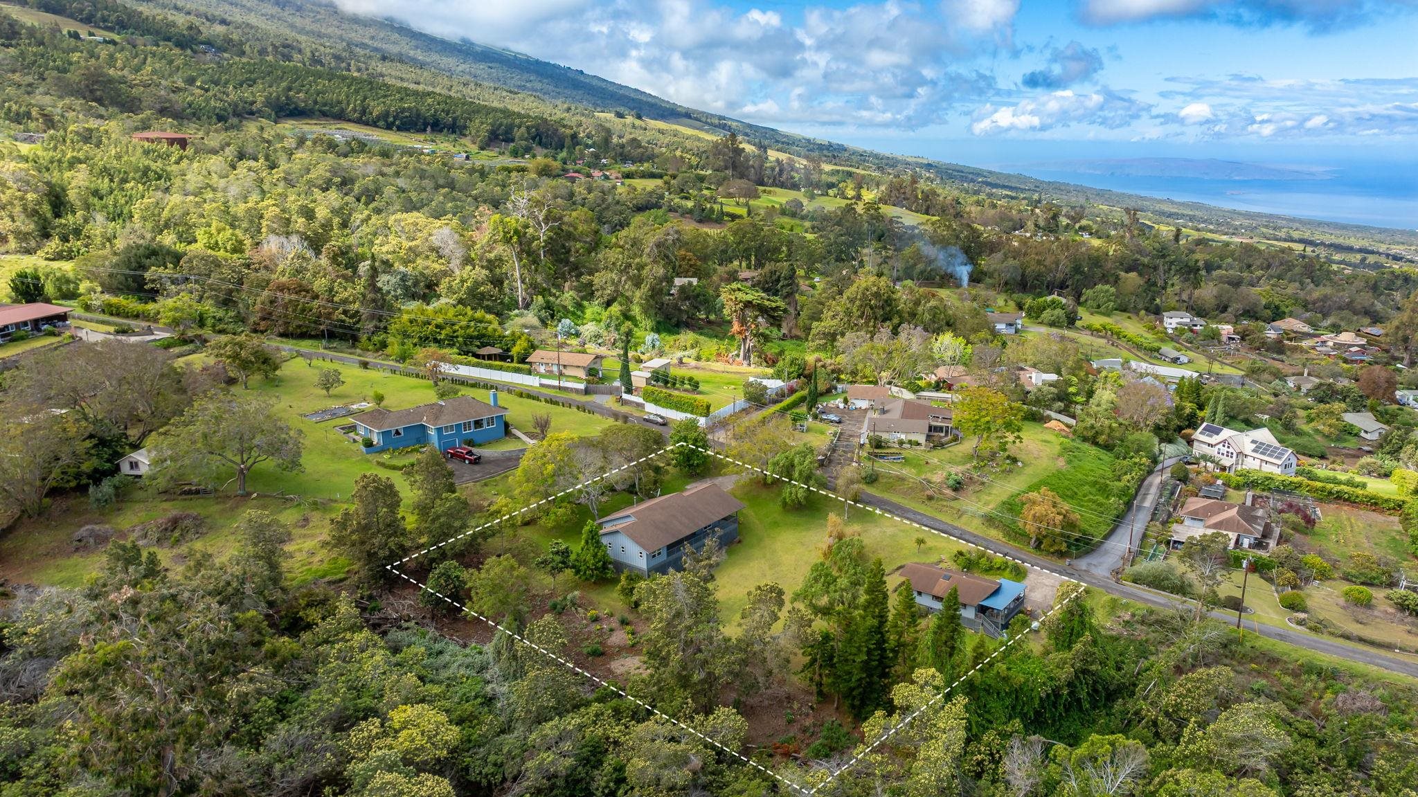 115 Alae Road Kula, HI 96790 - Photo 41 of 50 an aerial view of residential houses with outdoor space and trees
