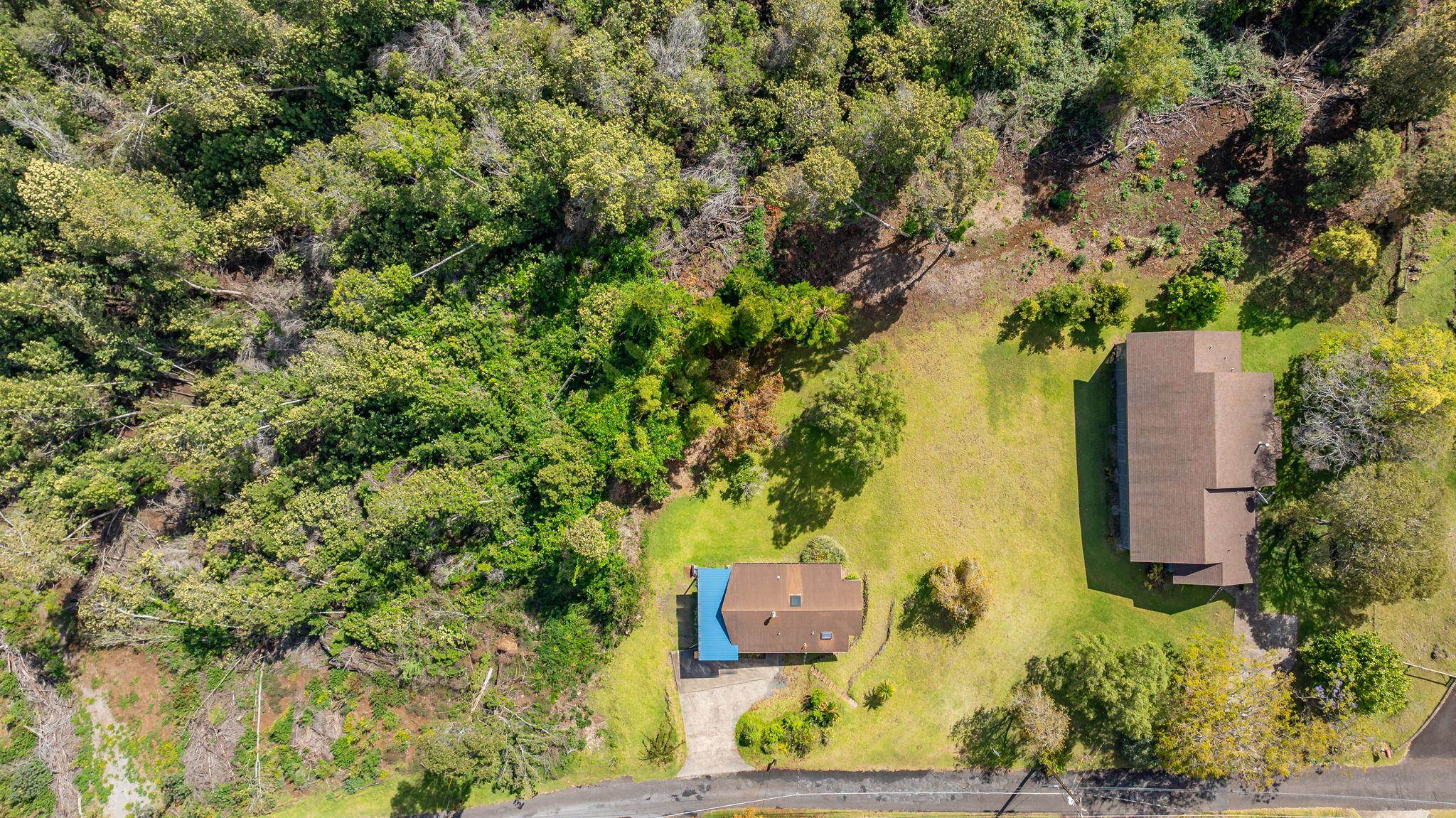 115 Alae Road Kula, HI 96790 - Photo 47 of 50 an aerial view of residential house with outdoor space and trees all around