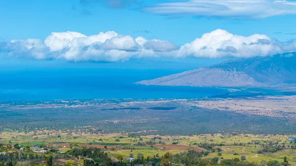 a view of house with yard