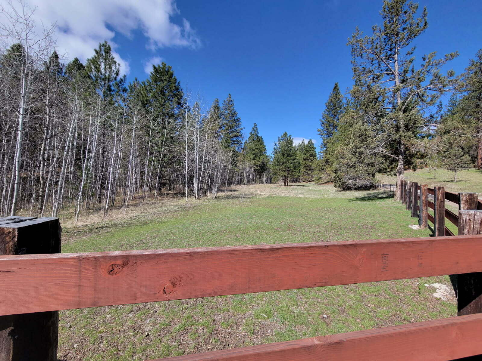 600 Lofton Creek Road Prineville, OR 97754 - Photo 36 of 66 image000000 (28)