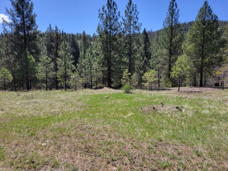 600 Lofton Creek Road Prineville, OR 97754 - Photo 39 of 66 image000002 (23)