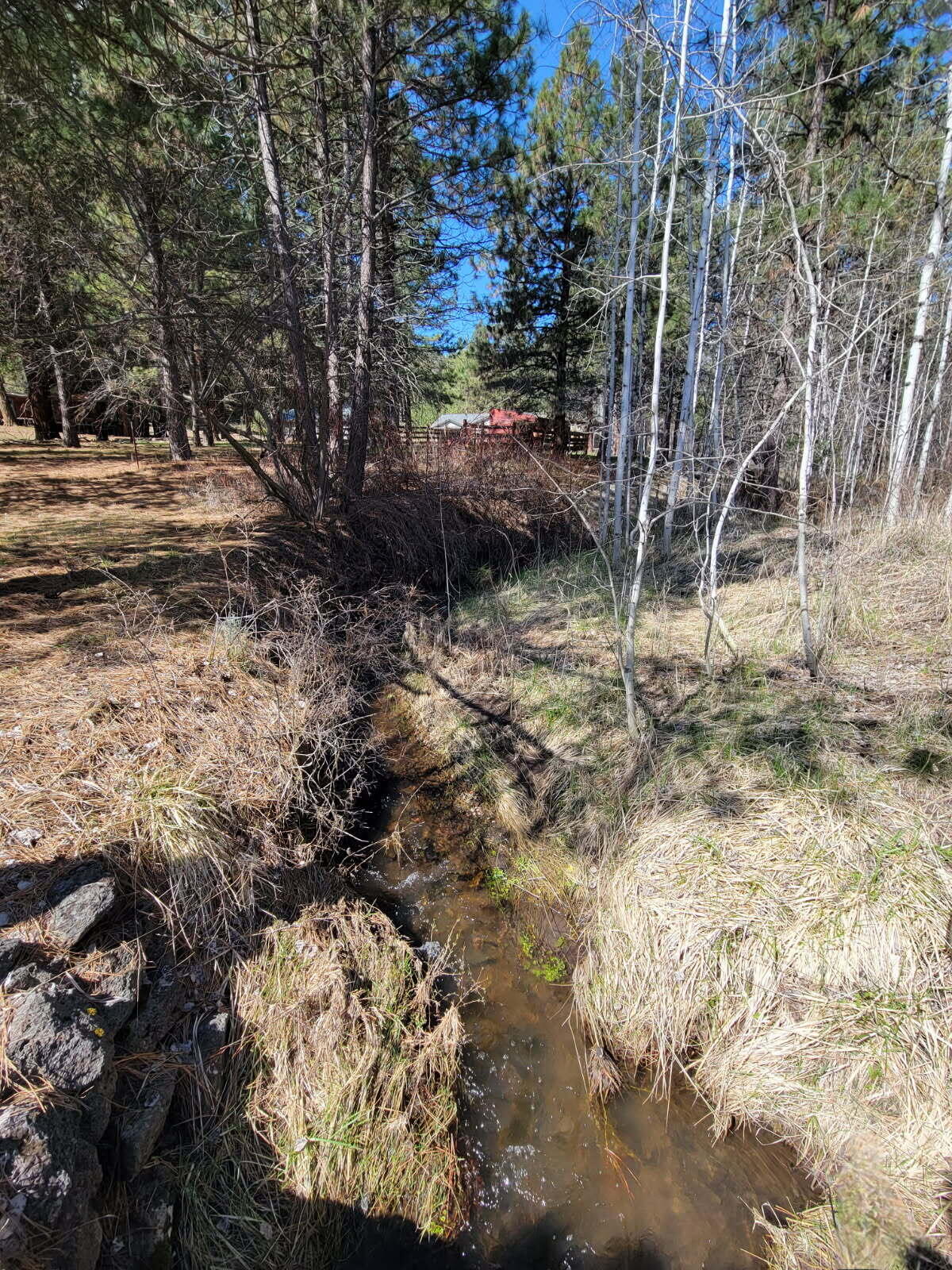 600 Lofton Creek Road Prineville, OR 97754 - Photo 44 of 66 image000000 (26)