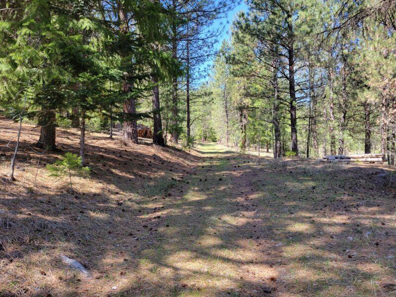 600 Lofton Creek Road Prineville, OR 97754 - Photo 50 of 66 image000002 (19)