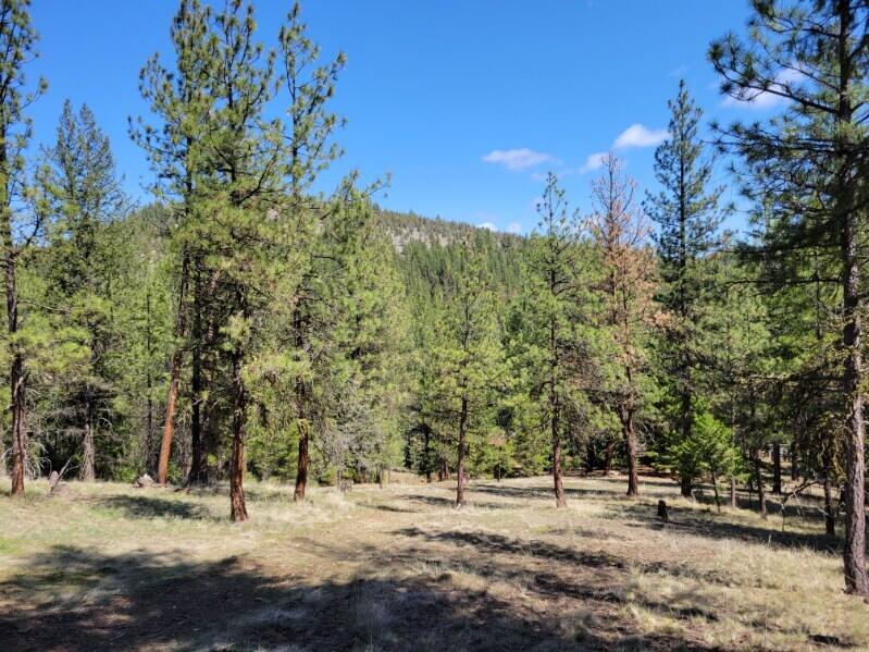 600 Lofton Creek Road Prineville, OR 97754 - Photo 52 of 66 image000003 (22)