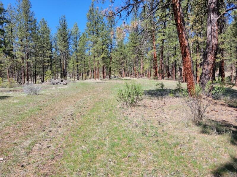 600 Lofton Creek Road Prineville, OR 97754 - Photo 53 of 66 image000003 (24)