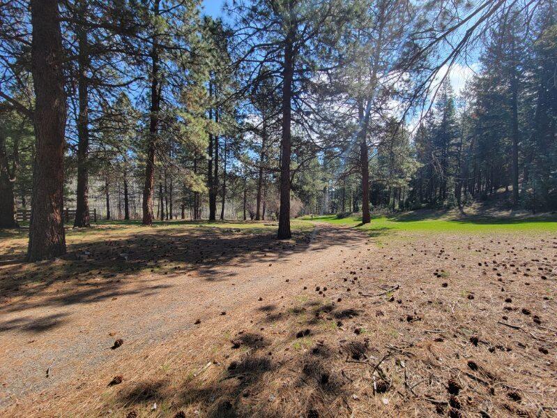 600 Lofton Creek Road Prineville, OR 97754 - Photo 54 of 66 image000004 (1)