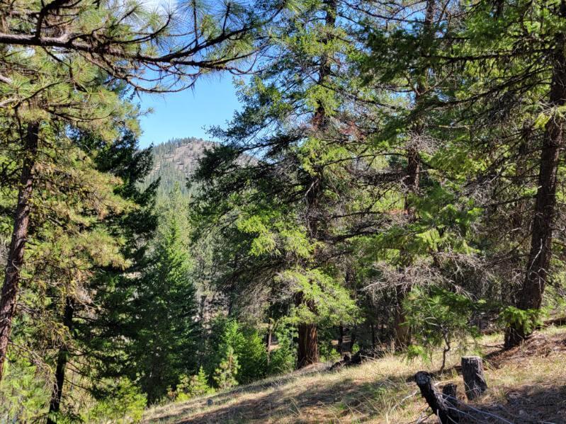 600 Lofton Creek Road Prineville, OR 97754 - Photo 55 of 66 image000002 (22)