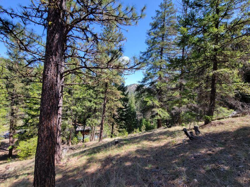 600 Lofton Creek Road Prineville, OR 97754 - Photo 59 of 66 image000004 (19)