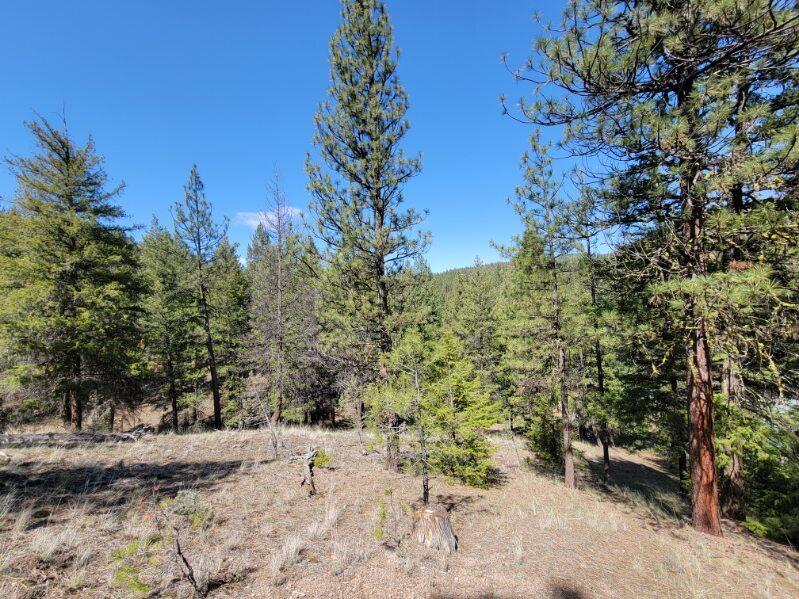 600 Lofton Creek Road Prineville, OR 97754 - Photo 63 of 66 image000005 (18)