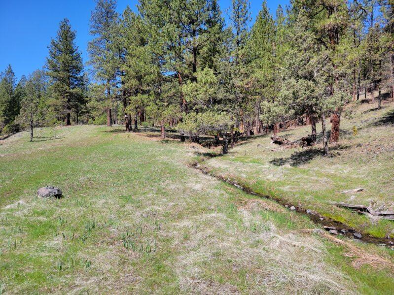 600 Lofton Creek Road Prineville, OR 97754 - Photo 64 of 66 image000000 (20)