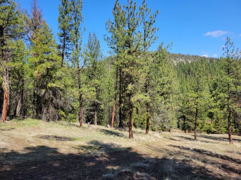 600 Lofton Creek Road Prineville, OR 97754 - Photo 65 of 66 image000002 (21)