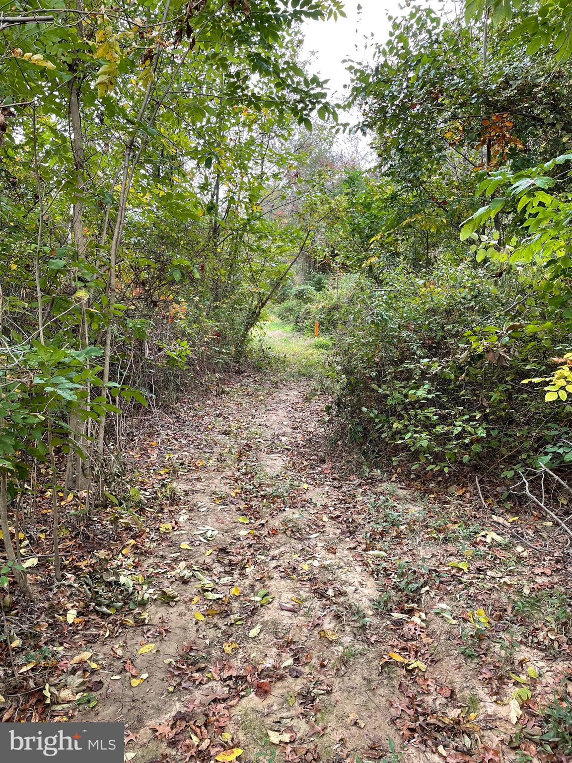 9850 Fairlee Road Chestertown, MD 21620 - Photo 33 of 37 Gallery Image 33