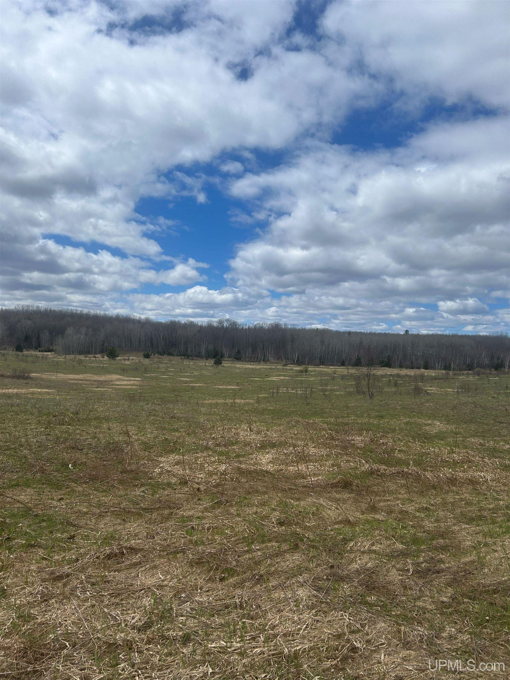 Tbd 10-1 Mill Pond Road Trout Creek, MI 49967 - Photo 2 of 23