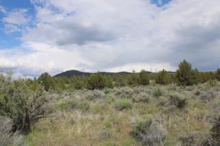 Deer Springs Road Beatty, OR 97621 - Photo 8 of 13 IMG_2561
