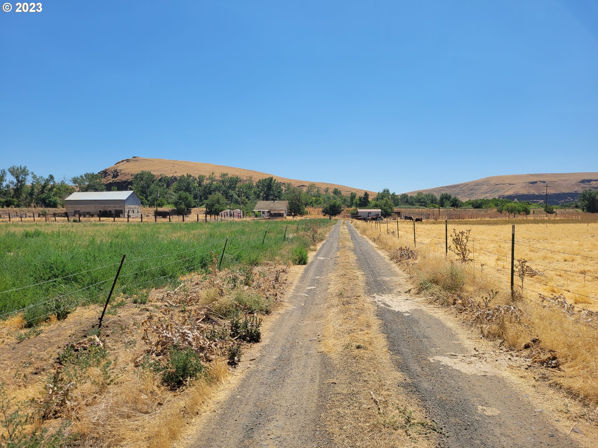 41002 Rieth Road Pendleton, OR 97801 - Photo 11 of 44