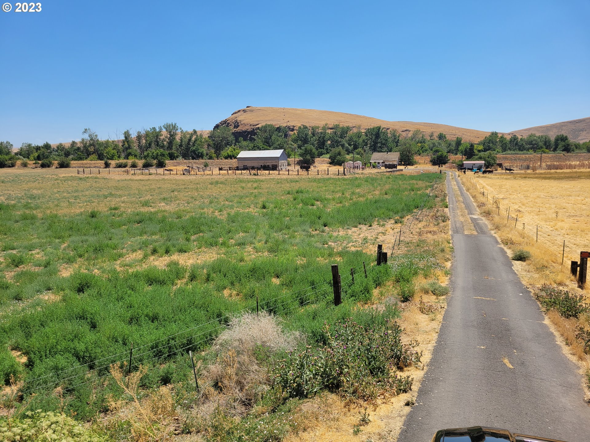 41002 Rieth Road Pendleton, OR 97801 - Photo 12 of 44