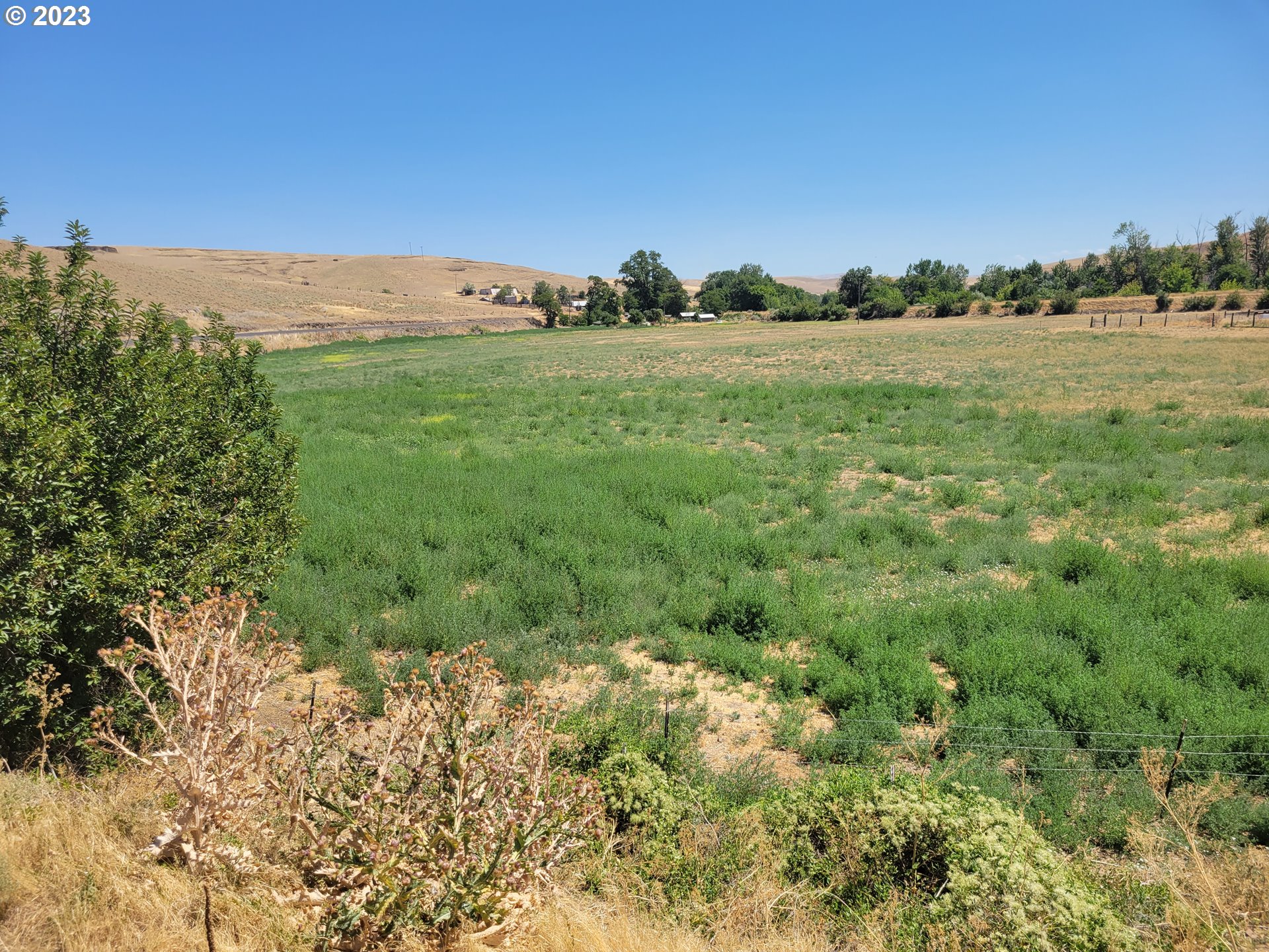 41002 Rieth Road Pendleton, OR 97801 - Photo 13 of 44