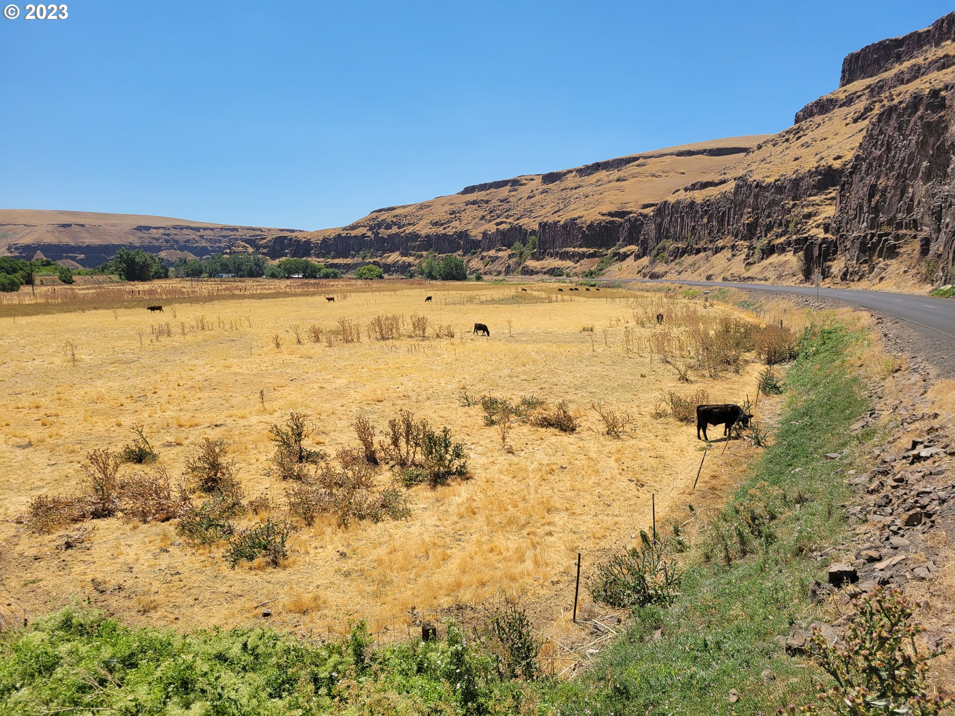 41002 Rieth Road Pendleton, OR 97801 - Photo 15 of 44