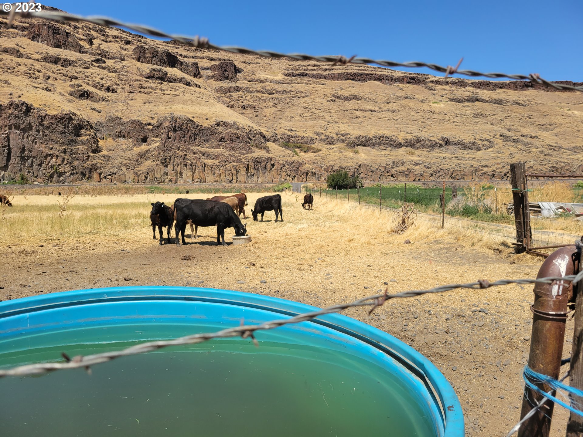 41002 Rieth Road Pendleton, OR 97801 - Photo 16 of 44