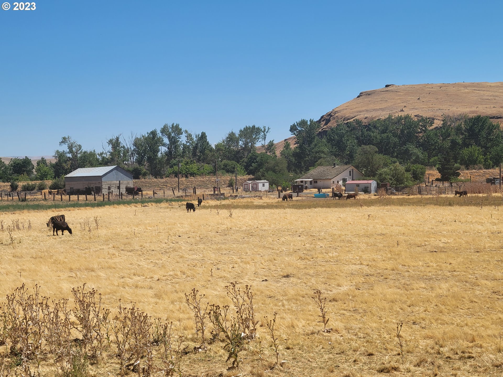 41002 Rieth Road Pendleton, OR 97801 - Photo 34 of 44
