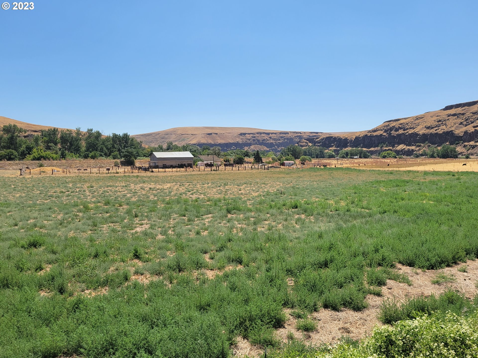 41002 Rieth Road Pendleton, OR 97801 - Photo 38 of 44