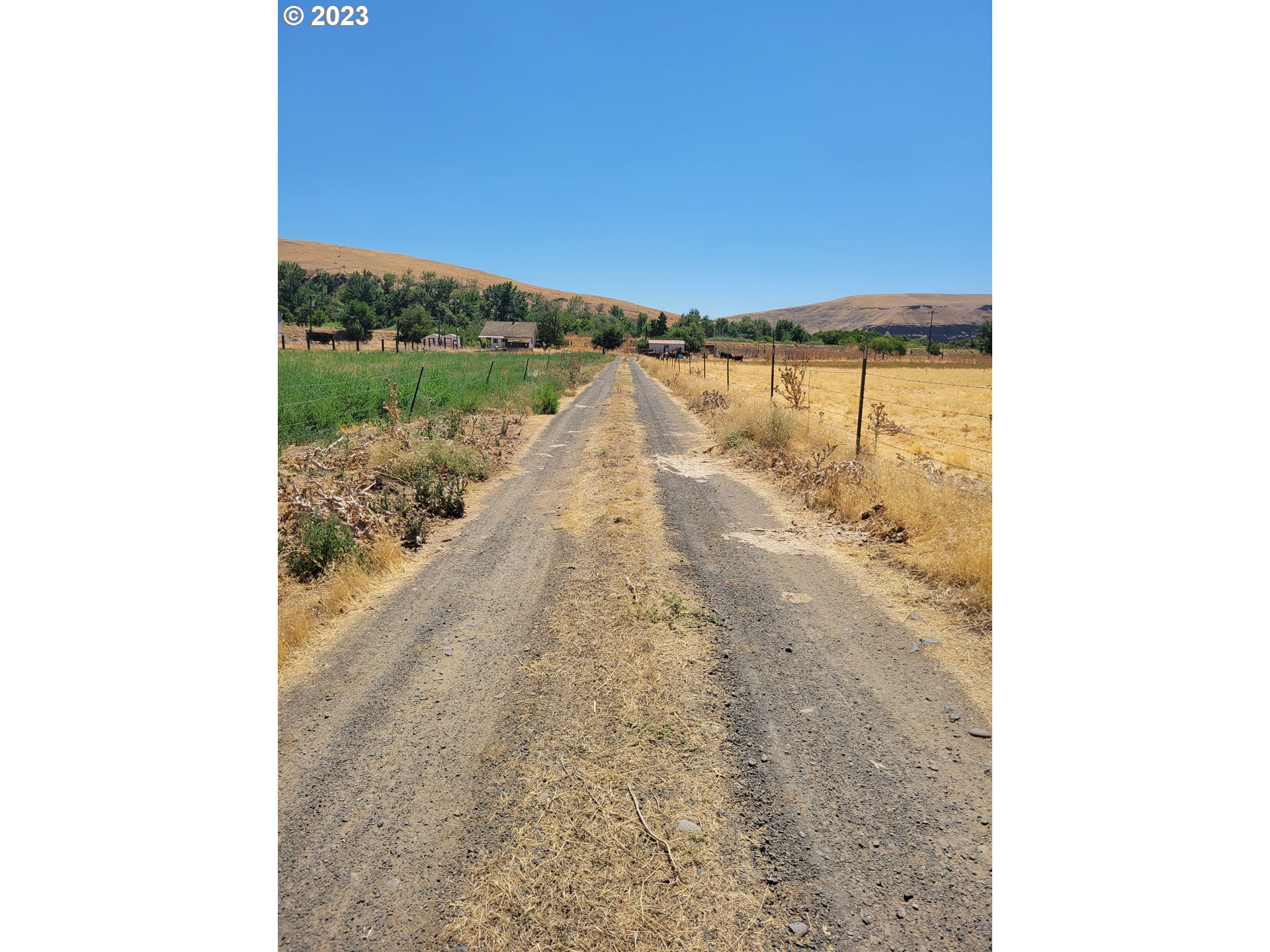 41002 Rieth Road Pendleton, OR 97801 - Photo 41 of 44