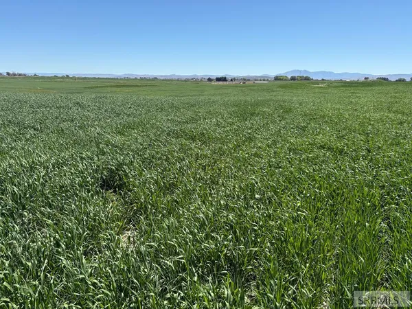 $2,500,000 | 1500-w 300 1500 W, Pingree, ID 83262