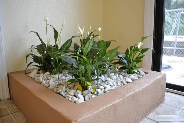 $1,800 | Undisclosed Address, Orlando, FL 32806