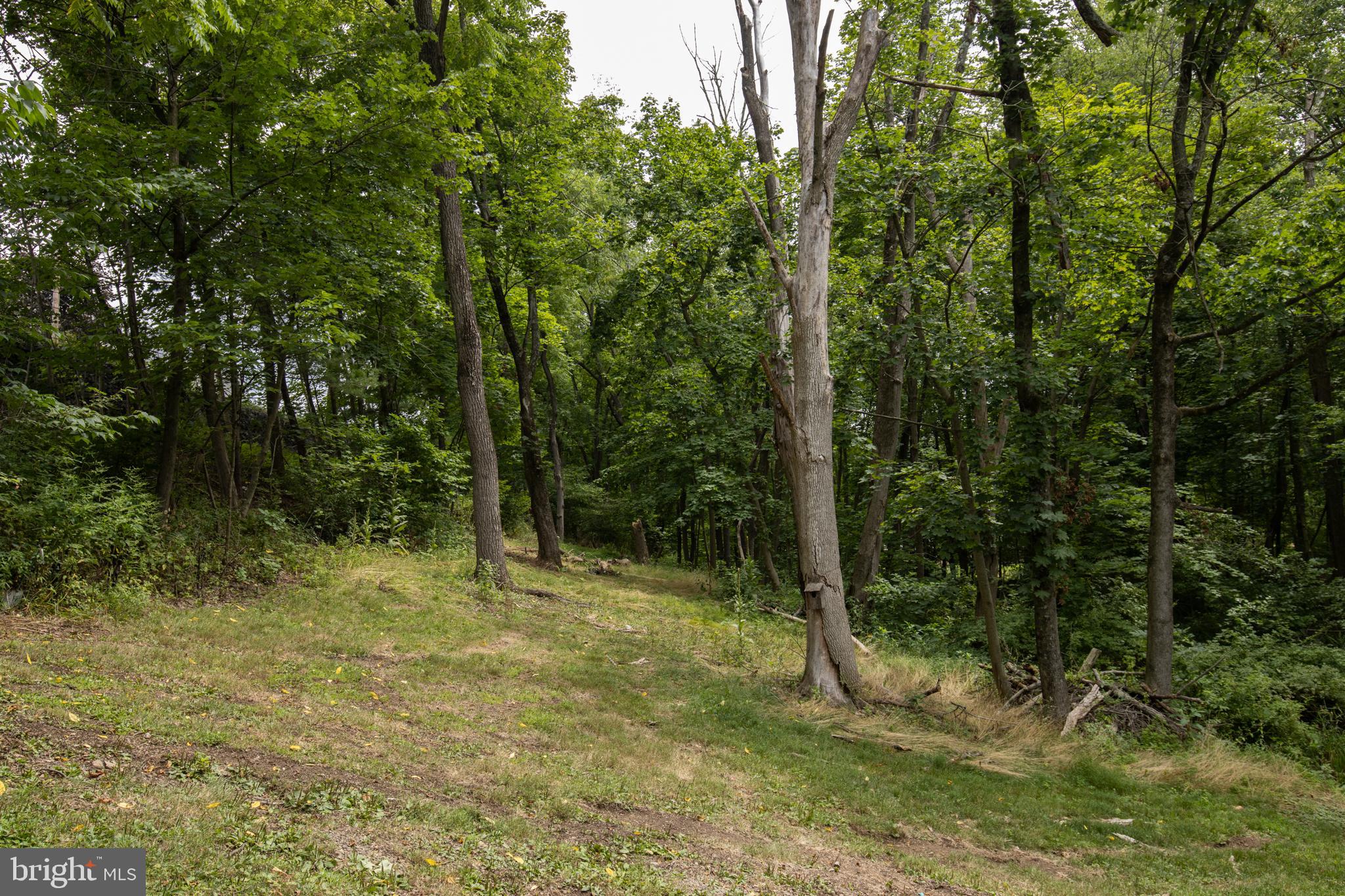 2026 Fair Road Summit Station, PA 17972 - Photo 47 of 49 Gallery Image 47
